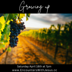 Women at the Well Christian Women Fellowship